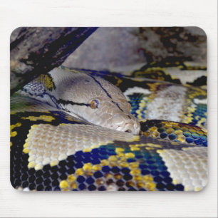 Tapis De Souris Serpent Python réticulé