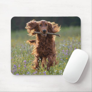 Tapis De Souris Setter Irlandais heureux dans un champ de fleurs s