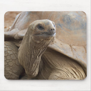 Tapis De Souris Seychelles Aldabran terre tortue