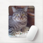 Tapis De Souris Shangel (Avec souris)