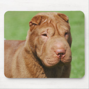Tapis De Souris Shar Pei