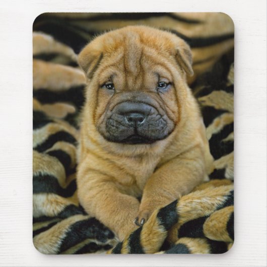 Tapis De Souris Shar-Pei chiot âgé Mousepad de 4 semaines (Devant)