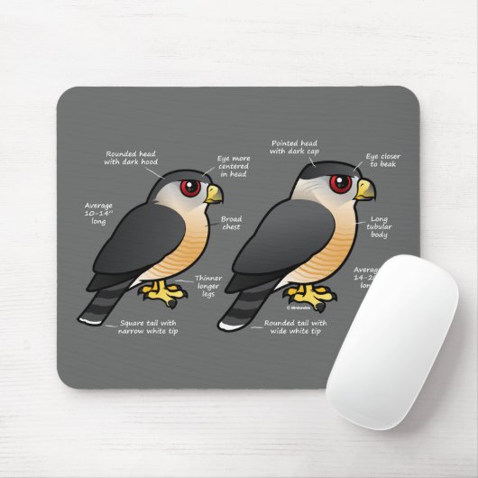 Tapis De Souris Sharpie de la cage v (Avec souris)