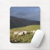 TAPIS DE SOURIS SHEEP DE MONTAGNE (Avec souris)