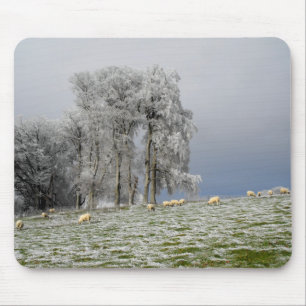 Tapis De Souris Sheep on a frosty hill