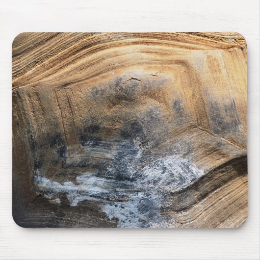 TAPIS DE SOURIS SHELL GÉANT TORTOISE (Devant)