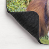 Tapis De Souris Sheltie Mousepad (Coin)