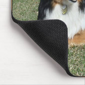 Tapis De Souris sheltie_mpad4 (Coin)