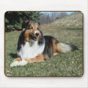 Tapis De Souris sheltie_mpad4