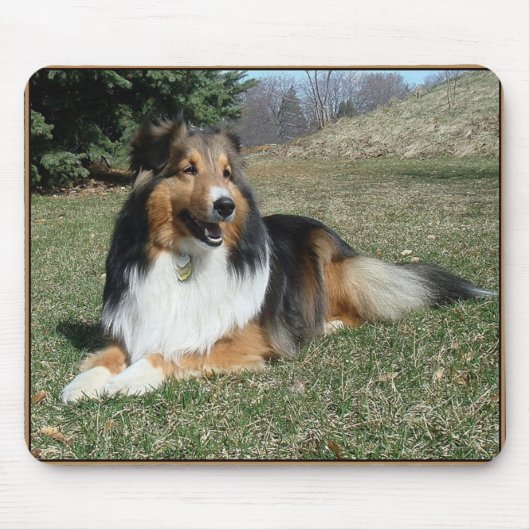 Tapis De Souris sheltie_mpad4 (Devant)
