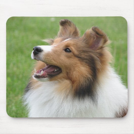 Tapis De Souris Sheltie sur le mousepad (Devant)