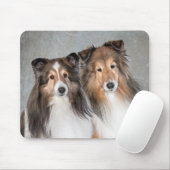 Tapis De Souris Shelties (Avec souris)