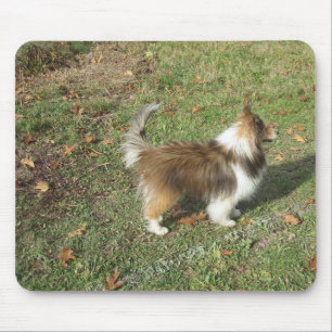 Tapis De Souris Shetland Sheepdog plein deuxième