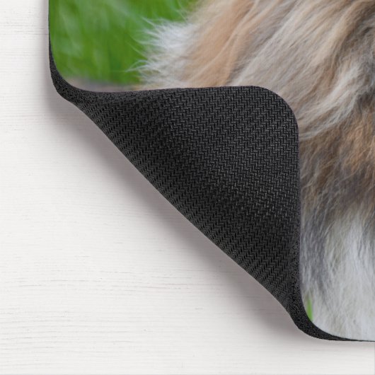 Tapis De Souris Shetland Sheepdog - Sheltie Dog (Coin)