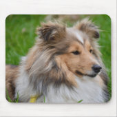 Tapis De Souris Shetland Sheepdog - Sheltie Dog (Devant)