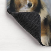 Tapis De Souris Shetland Sheepdogs (Coin)