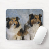 Tapis De Souris Shetland Sheepdogs (Avec souris)