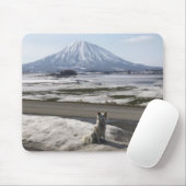 Tapis De Souris Shiba Inu (Avec souris)