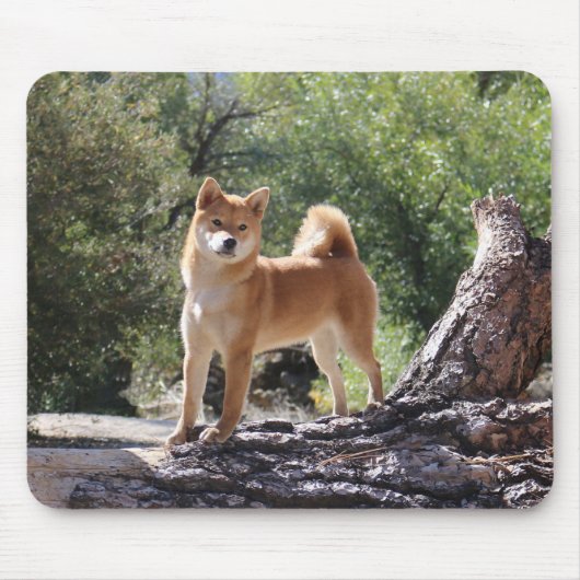 Tapis De Souris Shiba Inu (Devant)