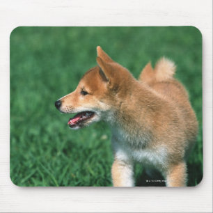 Tapis De Souris Shiba miniature japonais