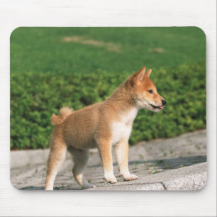 Tapis De Souris Shiba miniature japonais 2