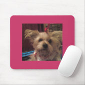 Tapis De Souris Shih Tzu (Avec souris)