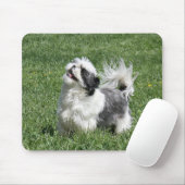 Tapis De Souris shih tzu (Avec souris)