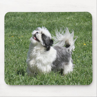 Tapis De Souris shih tzu