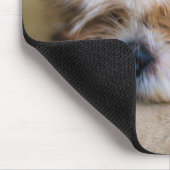 Tapis De Souris Shih Tzu (Coin)