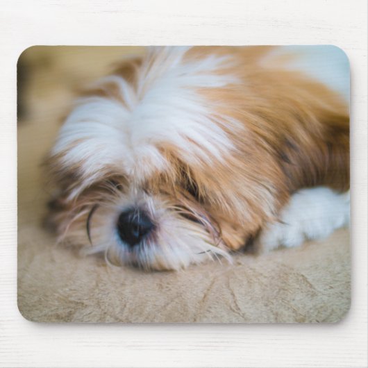Tapis De Souris Shih Tzu (Devant)