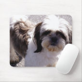 Tapis De Souris Shih-Tzu (Avec souris)