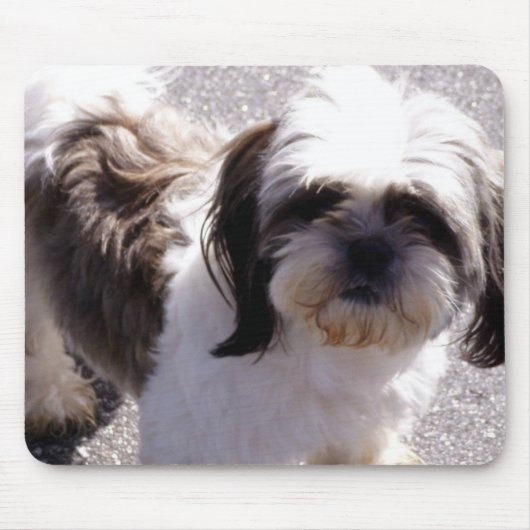 Tapis De Souris Shih-Tzu (Devant)