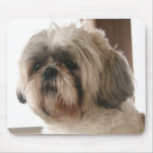 Tapis De Souris Shih Tzu Mousepad (Devant)