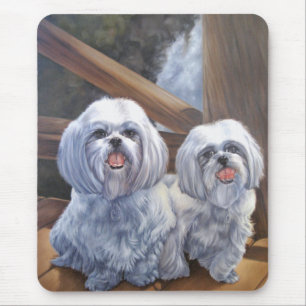 Tapis De Souris Shih Tzus