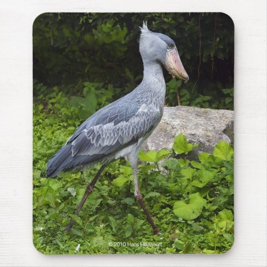 Tapis De Souris Shoebill (Devant)