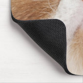 Tapis De Souris Shorthair exotique (2,5 ans) (Coin)