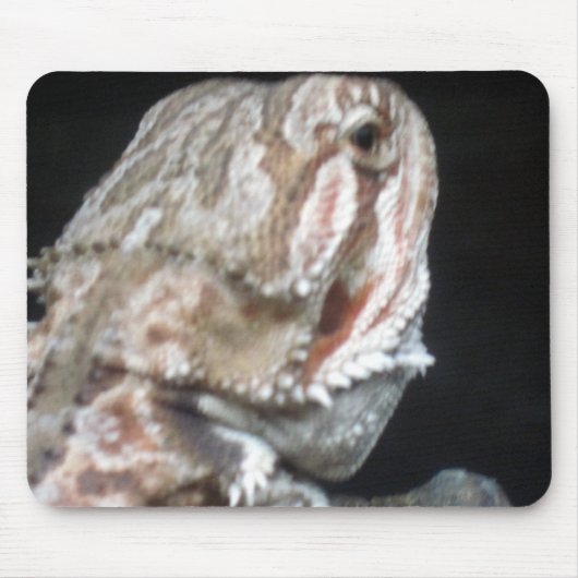 Tapis De Souris Shy Dragon (Devant)