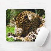 Tapis De Souris Shy Leopard (Avec souris)