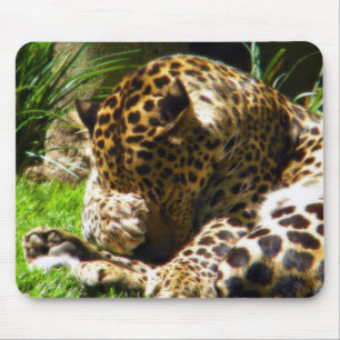Tapis De Souris Shy Leopard