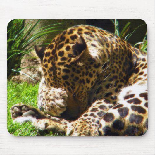 Tapis De Souris Shy Leopard (Devant)