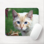 Tapis De Souris Siamese cat face mousepad (Avec souris)