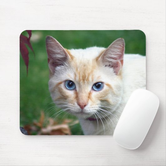 Tapis De Souris Siamese cat face mousepad (Avec souris)