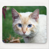 Tapis De Souris Siamese cat face mousepad (Devant)