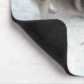 Tapis De Souris Siberian Huskies (Coin)