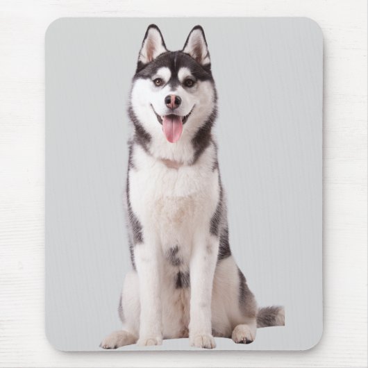 Tapis De Souris Siberian Husky Dog (Devant)