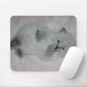 Tapis De Souris SibKitten le plus mignon Mousepad - customisé (Avec souris)