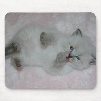 Tapis De Souris SibKitten le plus mignon Mousepad - customisé