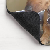 Tapis De Souris Side Eye Dog Mème Souris Pad (Coin)