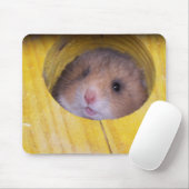 Tapis De Souris Sierra de bébé (Avec souris)