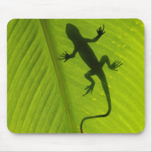 Tapis De Souris Silhouette de Gecko